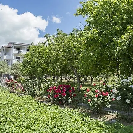 Appartement In With Sea View, Balcony, Air Conditioning, Wifi *